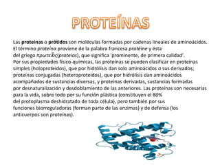 Las proteínas o prótidos son moléculas formadas por cadenas lineales de aminoácidos.
El término proteína proviene de la palabra francesa protéine y ésta
del griego πρωτεῖος(proteios), que significa 'prominente, de primera calidad'.
Por sus propiedades físico-químicas, las proteínas se pueden clasificar en proteínas
simples (holoproteidos), que por hidrólisis dan solo aminoácidos o sus derivados;
proteínas conjugadas (heteroproteidos), que por hidrólisis dan aminoácidos
acompañados de sustancias diversas, y proteínas derivadas, sustancias formadas
por desnaturalización y desdoblamiento de las anteriores. Las proteínas son necesarias
para la vida, sobre todo por su función plástica (constituyen el 80%
del protoplasma deshidratado de toda célula), pero también por sus
funciones biorreguladoras (forman parte de las enzimas) y de defensa (los
anticuerpos son proteínas).

 