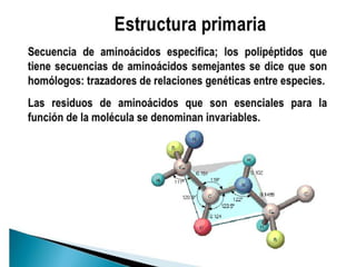 Proteinas