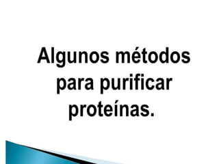 Proteinas