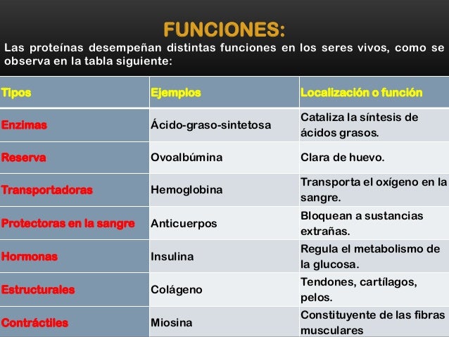 Proteinas Proteinas