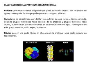 CLASIFICACION DE LAS PROTEINAS SEGÚN SU FORMA:
Fibrosas: presentas cadenas polipeptidicas y una estructura atípica. Son insolubles en
agua y hacen parte de este grupo la queratina, colágeno y fibrina.
Globulares: se caracterizan por doblar sus cadenas en una forma esférica apretada,
dejando grupos hidrófobos hacia adentro de la proteína y grupos hidrófilos hacia
afuera, lo que hacen que sean solubles en disolventes como el agua. Hacen parte de
este grupo: enzimas, anticuerpos, hormonas.
Mixtas: poseen una parte fibrilar en el centro de la proteína y otra parte globular en
los extremos.