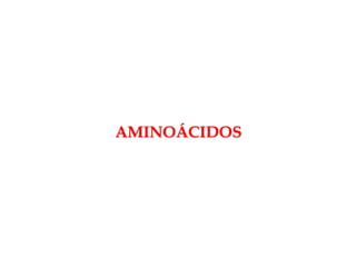 AMINOÁCIDOS

 