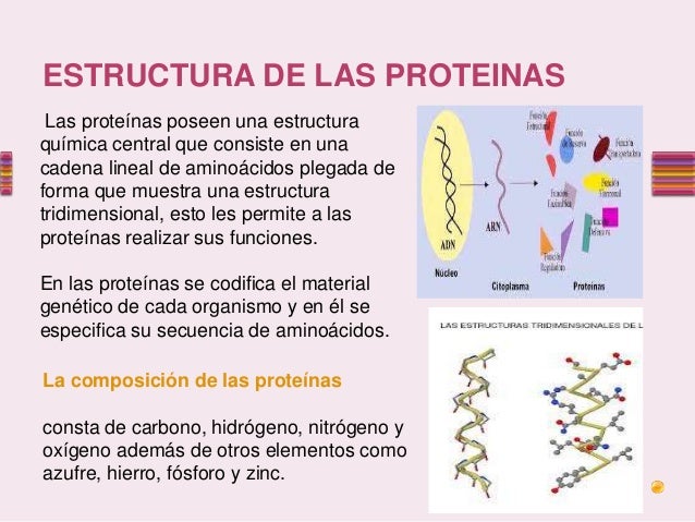 Proteinas