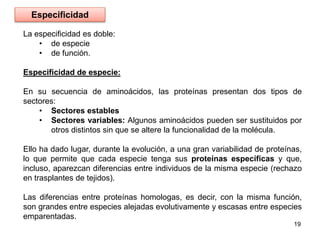 La especificidad es doble:
• de especie
• de función.
Especificidad de especie:
En su secuencia de aminoácidos, las proteínas presentan dos tipos de
sectores:
• Sectores estables
• Sectores variables: Algunos aminoácidos pueden ser sustituidos por
otros distintos sin que se altere la funcionalidad de la molécula.
Ello ha dado lugar, durante la evolución, a una gran variabilidad de proteínas,
lo que permite que cada especie tenga sus proteínas específicas y que,
incluso, aparezcan diferencias entre individuos de la misma especie (rechazo
en trasplantes de tejidos).
Las diferencias entre proteínas homologas, es decir, con la misma función,
son grandes entre especies alejadas evolutivamente y escasas entre especies
emparentadas.
19
Especificidad
 