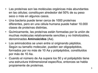 • Las proteínas son las moléculas orgánicas más abundantes
en las células; constituyen alrededor del 50% de su peso
seco o más en algunos casos.
• Una bacteria puede tener cerca de 1000 proteínas
diferentes, pero en una célula humana puede haber 10.000
clases de proteínas distintas.
• Químicamente, las proteínas están formadas por la unión de
muchas moléculas relativamente sencillas y no hidrolizables,
denominadas Aminoácidos (Aa).
• Los aminoácidos se unen entre sí originando péptidos.
Según su tamaño molecular, pueden ser oligopéptidos,
formados por no más de 10 Aa y polipéptidos, constituidos
por más de 10 Aa.
• Cuando el número de Aa supera los 50 y el polipéptido tiene
una estructura tridimensional específica, entonces se habla
propiamente de proteínas.
3
 