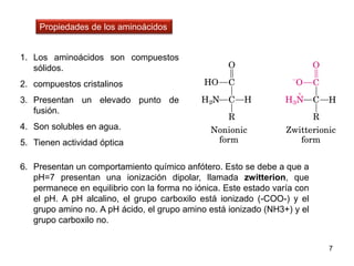 1. Los aminoácidos son compuestos
sólidos.
2. compuestos cristalinos
3. Presentan un elevado punto de
fusión.
4. Son solubles en agua.
5. Tienen actividad óptica
7
6. Presentan un comportamiento químico anfótero. Esto se debe a que a
pH=7 presentan una ionización dipolar, llamada zwitterion, que
permanece en equilibrio con la forma no iónica. Este estado varía con
el pH. A pH alcalino, el grupo carboxilo está ionizado (-COO-) y el
grupo amino no. A pH ácido, el grupo amino está ionizado (NH3+) y el
grupo carboxilo no.
Propiedades de los aminoácidos
 