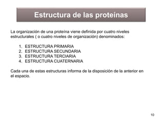 Estructura de las proteínas 
La organización de una proteína viene definida por cuatro niveles 
estructurales ( o cuatro niveles de organización) denominados: 
1. ESTRUCTURA PRIMARIA 
2. ESTRUCTURA SECUNDARIA 
3. ESTRUCTURA TERCIARIA 
4. ESTRUCTURA CUATERNARIA 
Cada una de estas estructuras informa de la disposición de la anterior en 
el espacio. 
10 
 