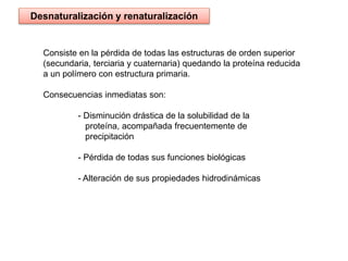 Desnaturalización y renaturalización 
Consiste en la pérdida de todas las estructuras de orden superior 
(secundaria, terciaria y cuaternaria) quedando la proteína reducida 
a un polímero con estructura primaria. 
Consecuencias inmediatas son: 
- Disminución drástica de la solubilidad de la 
proteína, acompañada frecuentemente de 
precipitación 
- Pérdida de todas sus funciones biológicas 
- Alteración de sus propiedades hidrodinámicas 
 