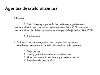 Agentes desnaturalizantes 
I. Físicos 
1. Calor. La mayor parte de las proteínas experimentan 
desnaturalizaciones cuando se calientan entre 50 y 60 ºC; otras se 
desnaturalizan también cuando se enfrían por debajo de los 10 a 15 ºC. 
2. Radiaciones 
II. Químicos: todos los agentes que rompen interacciones 
o enlaces presentes en la estructura nativa de la proteína: 
1. Detergentes 
2. Urea y guanidina a altas concentraciones 
3. Altas concentraciones de sal y extremos de pH 
4. Reactivos de grupos -SH 
 