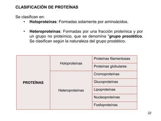 CLASIFICACIÓN DE PROTEÍNAS 
Se clasifican en: 
• Holoproteínas: Formadas solamente por aminoácidos. 
• Heteroproteínas: Formadas por una fracción proteínica y por 
un grupo no proteínico, que se denomina "grupo prostético. 
Se clasifican según la naturaleza del grupo prostético. 
22 
PROTEÍNAS 
Holoproteínas 
Proteínas filamentosas 
Proteínas globulares 
Heteroproteínas 
Cromoproteínas 
Glucoproteínas 
Lipoproteínas 
Nucleoproteínas 
Fosfoproteínas 
 
