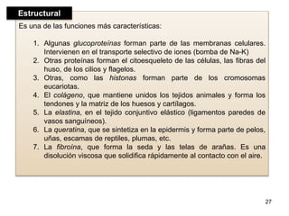 Es una de las funciones más características: 
1. Algunas glucoproteínas forman parte de las membranas celulares. 
Intervienen en el transporte selectivo de iones (bomba de Na-K) 
2. Otras proteínas forman el citoesqueleto de las células, las fibras del 
huso, de los cilios y flagelos. 
3. Otras, como las histonas forman parte de los cromosomas 
eucariotas. 
4. El colágeno, que mantiene unidos los tejidos animales y forma los 
tendones y la matriz de los huesos y cartílagos. 
5. La elastina, en el tejido conjuntivo elástico (ligamentos paredes de 
vasos sanguíneos). 
6. La queratina, que se sintetiza en la epidermis y forma parte de pelos, 
uñas, escamas de reptiles, plumas, etc. 
7. La fibroína, que forma la seda y las telas de arañas. Es una 
disolución viscosa que solidifica rápidamente al contacto con el aire. 
27 
Estructural 
 
