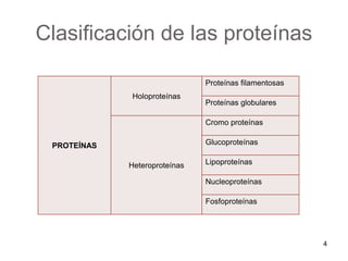 Clasificación de las proteínas 
PROTEÍNAS 
Holoproteínas 
Proteínas filamentosas 
Proteínas globulares 
Heteroproteínas 
Cromo proteínas 
Glucoproteínas 
Lipoproteínas 
Nucleoproteínas 
Fosfoproteínas 
4 
 