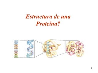 9 
Estructura de una 
Proteína? 
 