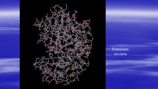 Estructura 
terciaria 
 
