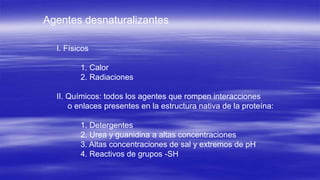 Agentes desnaturalizantes 
I. Físicos 
1. Calor 
2. Radiaciones 
II. Químicos: todos los agentes que rompen interacciones 
o enlaces presentes en la estructura nativa de la proteína: 
1. Detergentes 
2. Urea y guanidina a altas concentraciones 
3. Altas concentraciones de sal y extremos de pH 
4. Reactivos de grupos -SH 
 