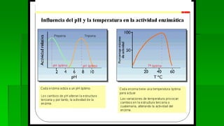 ¿QUÉ PUEDES INTERPRETAR DE ESTE GRÁFICO? 
 