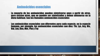 Aminoácidos esenciales 
 La mayoría de los aminoácidos pueden sintetizarse unos a partir de otros, 
pero existen otros, que no pueden ser sintetizados y deben obtenerse en la 
dieta habitual. Son los llamados aminoácidos esenciales 
 Los aminoácidos esenciales son diferentes para cada especie, en la especie 
humana, por ejemplo, los aminoácidos esenciales son diez: Thr, Lys, Arg, His, 
Val, Leu, Ileu, Met, Phe y Trp 
 