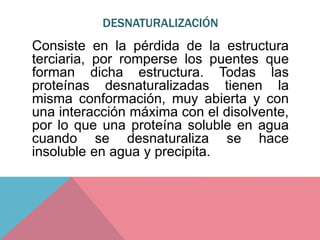 DESNATURALIZACIÓN
Consiste en la pérdida de la estructura
terciaria, por romperse los puentes que
forman dicha estructura. Todas las
proteínas desnaturalizadas tienen la
misma conformación, muy abierta y con
una interacción máxima con el disolvente,
por lo que una proteína soluble en agua
cuando se desnaturaliza se hace
insoluble en agua y precipita.
 