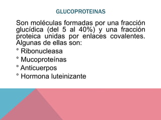 GLUCOPROTEINAS
Son moléculas formadas por una fracción
glucídica (del 5 al 40%) y una fracción
proteica unidas por enlaces covalentes.
Algunas de ellas son:
° Ribonucleasa
° Mucoproteínas
° Anticuerpos
° Hormona luteinizante
 