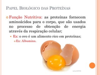 PAPEL BIOLÓGICO DAS PROTEÍNAS
 Função Nutritiva: as proteínas fornecem
aminoácidos para o corpo, que são usados
no processo de obtenção de energia
através da respiração celular;
 Ex: o ovo é um alimento rico em proteínas;
 Ex: Albumina.
 