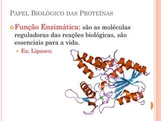 PAPEL BIOLÓGICO DAS PROTEÍNAS
Função Enzimática: são as moléculas
reguladoras das reações biológicas, são
essenciais para a vida.
 Ex: Lipases;
 