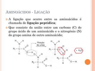 AMINOÁCIDOS - LIGAÇÃO
 A ligação que ocorre entre os aminoácidos é
chamada de ligação peptídica;
 Que consiste da união entre um carbono (C) do
grupo ácido de um aminoácido e o nitrogênio (N)
do grupo amina de outro aminoácido;
 