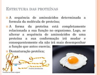 ESTRUTURA DAS PROTEÍNAS
 A sequência de aminoácidos determinada a
formula da molécula de proteína;
 A forma da proteína está completamente
relacionada a sua função no organismo. Logo, se
alterar a sequência de aminoácidos de uma
proteína a sua conformação irá mudar e
consequentemente ela não irá mais desempenhar
a função que antes exercia;
 Desnaturação protéica;
 