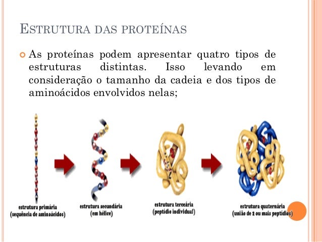 Proteinas Proteinas