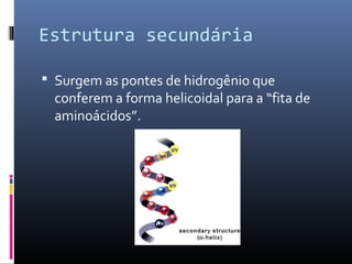 Estrutura secundária
 Surgem as pontes de hidrogênio que
conferem a forma helicoidal para a “fita de
aminoácidos”.
 