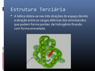 Estrutura Terciária
 A hélice dobra-se nas três direções do espaço devido
a atração entre as cargas elétricas dos aminoácidos
que podem forma pontes de hidrogênio ficando
com forma enovelada.
 