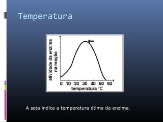 Temperatura
A seta indica a temperatura ótima da enzima.
 