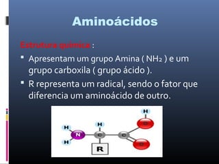 Aminoácidos
Estrutura química :
 Apresentam um grupo Amina ( NH2 ) e um
grupo carboxila ( grupo ácido ).
 R representa um radical, sendo o fator que
diferencia um aminoácido de outro.
 