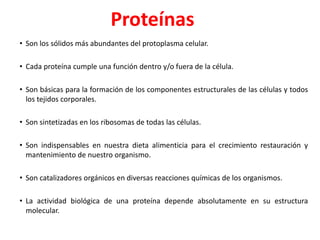 Proteínas
• Son los sólidos más abundantes del protoplasma celular.
• Cada proteína cumple una función dentro y/o fuera de...