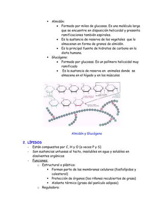  Almidón:
• Formado por miles de glucosas. Es una molécula larga
que se encuentre en disposición helicoidal y presenta
ramificaciones también espirales.
• Es la sustancia de reserva de los vegetales que lo
almacenan en forma de granos de almidón.
• Es la principal fuente de hidratos de carbono en la
dieta humana.
 Glucógeno:
• Formado por glucosas. Es un polímero helicoidal muy
ramificado
• Es la sustancia de reserva en animales donde se
almacena en el hígado y en los músculos
Almidón y Glucógeno
2. LÍPIDOS
- Están compuestos por C, H y O (a veces P y S)
- Son sustancias untuosas al tacto, insolubles en agua y solubles en
disolventes orgánicos
- Funciones:
o Estructural o plástica:
 Forman parte de las membranas celulares (fosfolípidos y
colesterol)
 Protección de órganos (los riñones recubiertos de grasa)
 Aislante térmico (grasa del panículo adiposo)
o Reguladora:
 