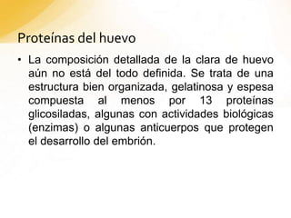Proteínas del huevo
• La composición detallada de la clara de huevo
aún no está del todo definida. Se trata de una
estructura bien organizada, gelatinosa y espesa
compuesta al menos por 13 proteínas
glicosiladas, algunas con actividades biológicas
(enzimas) o algunas anticuerpos que protegen
el desarrollo del embrión.
 