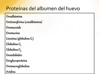 Proteínas del albumen del huevo
Ovoalbúmina
Ovotransferina (conalbúmina)
Ovomucoide
Ovomucina
Lisozima (globulina G1)
Globulina G2
Globulina G3
Ovoinhibidor
Ovoglucoproteína
Ovomacroglobulina
Avidina
 