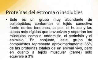 Proteínas del estroma o insolubles
• Éste es un grupo muy abundante de
polipéptidos; conforman el tejido conectivo
fuerte de los tendones, la piel, el hueso y las
capas más rígidas que envuelven y soportan los
músculos, como el endomisio, el perimisio y el
epimisio. En conjunto, este grupo de
compuestos representa aproximadamente 35%
de las proteínas totales de un animal vivo, pero
en cuanto a tejido muscular (carne) sólo
equivale a 3%.
 