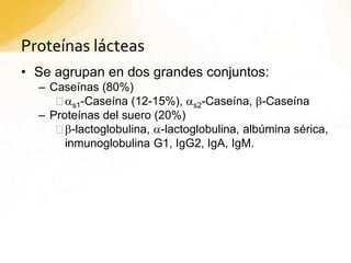 Proteínas lácteas
• Se agrupan en dos grandes conjuntos:
– Caseínas (80%)
as1-Caseína (12-15%), as2-Caseína, b-Caseína
– Proteínas del suero (20%)
b-lactoglobulina, a-lactoglobulina, albúmina sérica,
inmunoglobulina G1, IgG2, IgA, IgM.
 