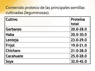 Contenido proteico de las principales semillas
cultivadas (leguminosas).
Cultivo Proteína
total
Garbanzo 20.0-28.0
Haba 20.0-30.0
Lenteja 23.0-29.0
Frijol 19.0-21.0
Chícharo 21.0-28.0
Cacahuate 25.0-28.0
Soya 32.0-42.0
 