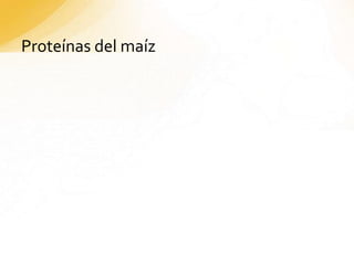 Proteínas del maíz
 