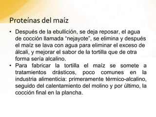 Proteínas del maíz
• Después de la ebullición, se deja reposar, el agua
de cocción llamada “nejayote”, se elimina y después
el maíz se lava con agua para eliminar el exceso de
álcali, y mejorar el sabor de la tortilla que de otra
forma sería alcalino.
• Para fabricar la tortilla el maíz se somete a
tratamientos drásticos, poco comunes en la
industria alimenticia: primeramente térmico-alcalino,
seguido del calentamiento del molino y por último, la
cocción final en la plancha.
 