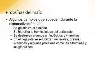 Proteínas del maíz
• Algunos cambios que suceden durante la
nixtamalización son:
– Se gelatiniza el almidón
– Se hidroliza la hemicelulosa del pericarpio
– Se destruyen algunos aminoácidos y vitaminas
– En el nejayote se solubilizan minerales, grasas,
vitaminas y algunas proteínas como las albúminas y
las globulinas.
 