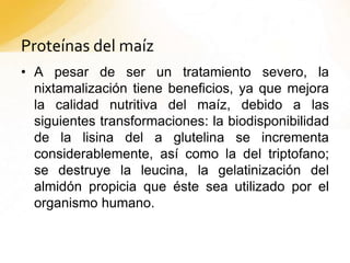 Proteínas del maíz
• A pesar de ser un tratamiento severo, la
nixtamalización tiene beneficios, ya que mejora
la calidad nutritiva del maíz, debido a las
siguientes transformaciones: la biodisponibilidad
de la lisina del a glutelina se incrementa
considerablemente, así como la del triptofano;
se destruye la leucina, la gelatinización del
almidón propicia que éste sea utilizado por el
organismo humano.
 