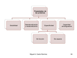 64Miguel A. Castro Ramírez
 