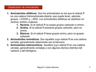 1. Aminoácidos alifáticos. Son los aminoácidos en los que el radical R
es una cadena hidrocarbonada abierta, que puede tener, además,
grupos —COOH y —NH2. Los aminoácidos alifáticos se clasifican en
neutros, ácidos y básicos.
1. Neutros. Si el radical R no posee grupos carboxilo ni amino.
2. Ácidos. Si el radical R presenta grupos carboxilo, pero no
amino.
3. Básicos. Si el radical R tiene grupos amino, pero no grupos
carboxilo
2. Aminoácidos aromáticos. Son aquellos cuyo radical R es una cadena
cerrada, generalmente relacionada con el benceno.
3. Aminoácidos heterocíclicos. Aquellos cuyo radical R es una cadena
cerrada, generalmente compleja y con algunos átomos distintos del
carbono y del hidrógeno.
7
Clasificación de aminoácidos
Miguel A. Castro Ramírez
 
