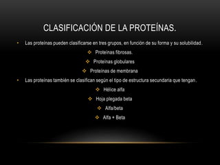 CLASIFICACIÓN DE LA PROTEÍNAS.
• Las proteínas pueden clasificarse en tres grupos, en función de su forma y su solubilidad.
 Proteínas fibrosas.
 Proteínas globulares
 Proteínas de membrana
• Las proteínas también se clasifican según el tipo de estructura secundaria que tengan.
 Hélice alfa
 Hoja plegada beta
 Alfa/beta
 Alfa + Beta
 