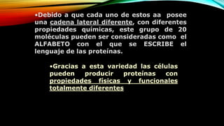 •Debido a que cada uno de estos aa posee
una cadena lateral diferente, con diferentes
propiedades químicas, este grupo de 20
moléculas pueden ser consideradas como el
ALFABETO con el que se ESCRIBE el
lenguaje de las proteínas.
•Gracias a esta variedad las células
pueden producir proteínas con
propiedades físicas y funcionales
totalmente diferentes
 