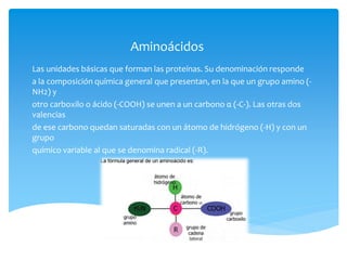 Proteinas | PPT