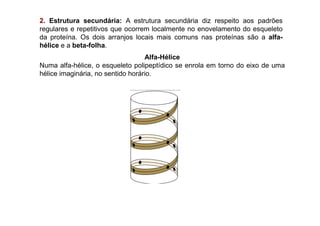 2. Estrutura secundária: A estrutura secundária diz respeito aos padrões
regulares e repetitivos que ocorrem localmente no enovelamento do esqueleto
da proteína. Os dois arranjos locais mais comuns nas proteínas são a alfa-
hélice e a beta-folha.
Alfa-Hélice
Numa alfa-hélice, o esqueleto polipeptídico se enrola em torno do eixo de uma
hélice imaginária, no sentido horário.
 