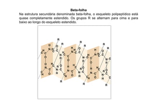 Beta-folha
Na estrutura secundária denominada beta-folha, o esqueleto polipeptídico está
quase completamente estendido. Os grupos R se alternam para cima e para
baixo ao longo do esqueleto estendido.
 